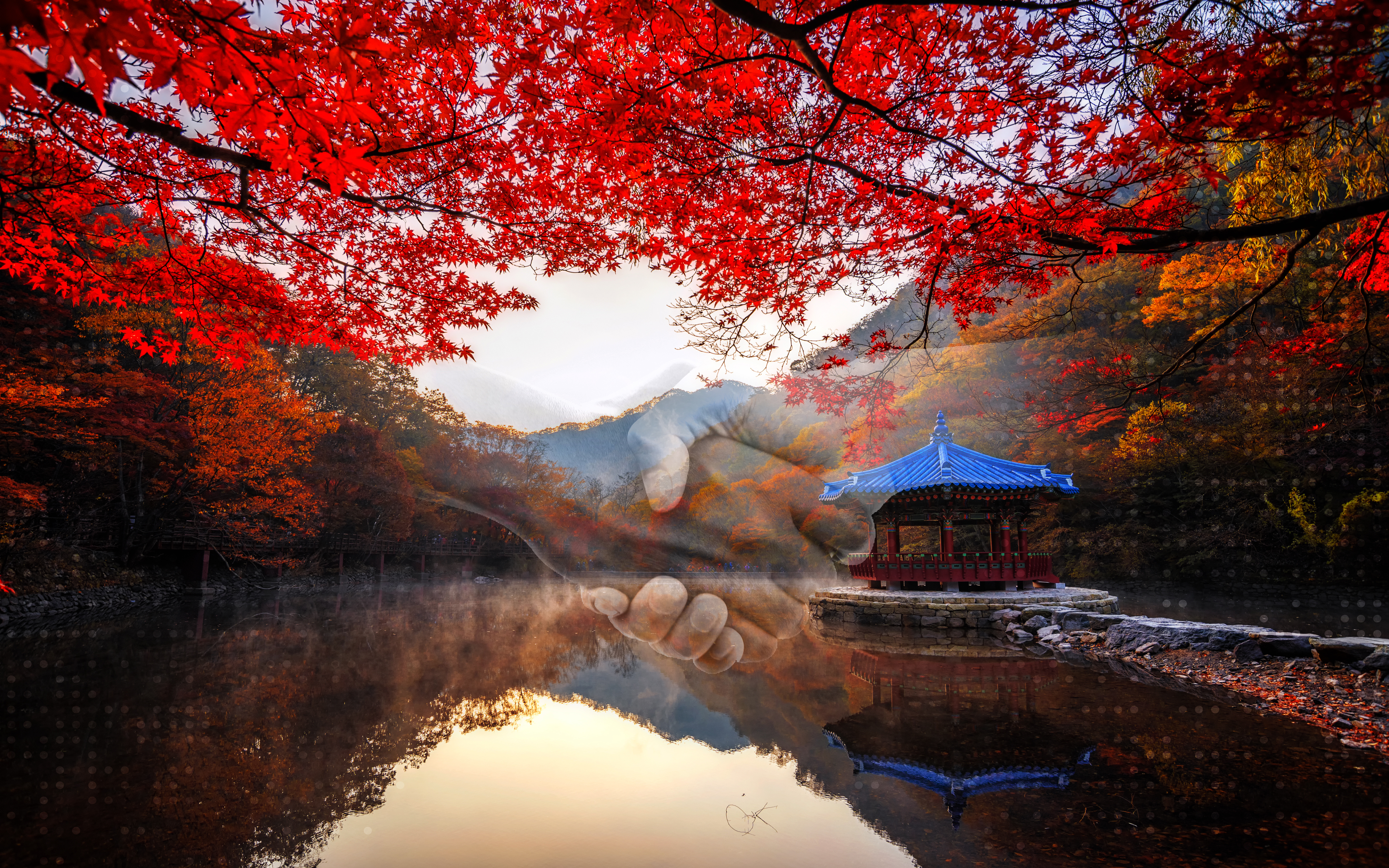 carousel image korea